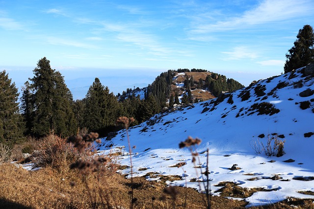 mushkpuri top, pakistan, dunga gali, nathiya gali, trek, ayubia national park, mukeshpuri, abbotabad, kpk, murree, mountain, nature, sky, blue, landscape, peak, hill, trekking, blue sky, best free wallpaper, clouds, outdoor, vacation, tourism, tourist, visit