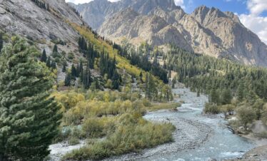 Breathtaking view of Kalam Valley with a pristine river flowing through lush green forests and towering mountains.