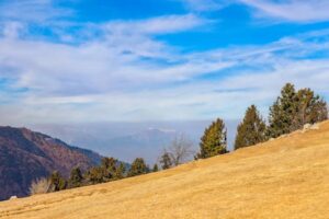 Breathtaking view of Nathia Gali's rolling hills and majestic trees under a clear blue sky.