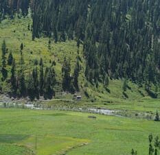 scenic Neelum River drive honeymoon package North Voyages