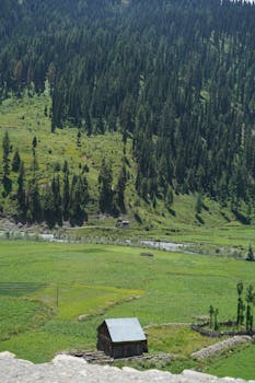 scenic Neelum River drive honeymoon package North Voyages