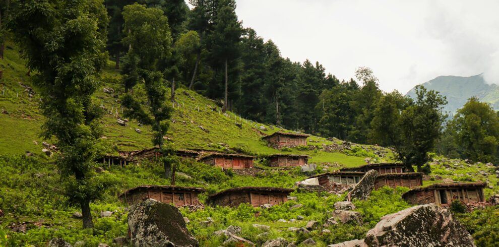 Charming rural village nestled in lush mountains with scattered stone cottages and dense forests.