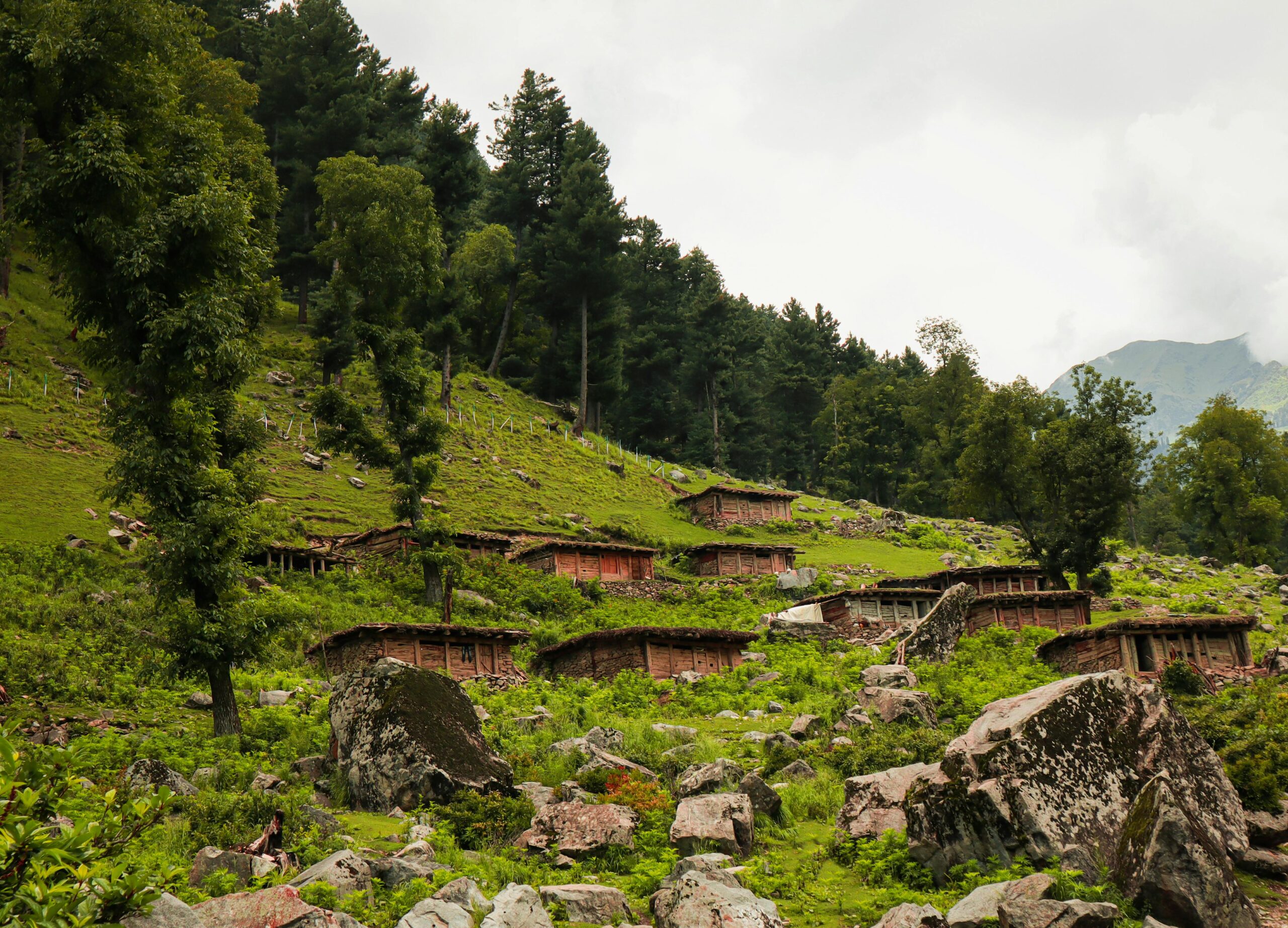 Charming rural village nestled in lush mountains with scattered stone cottages and dense forests.