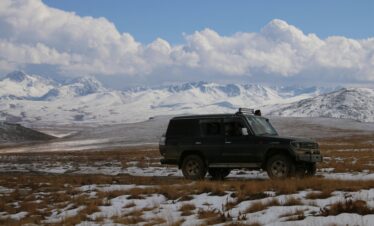 Deosai National Park wildflowers – Skardu tour package 2026