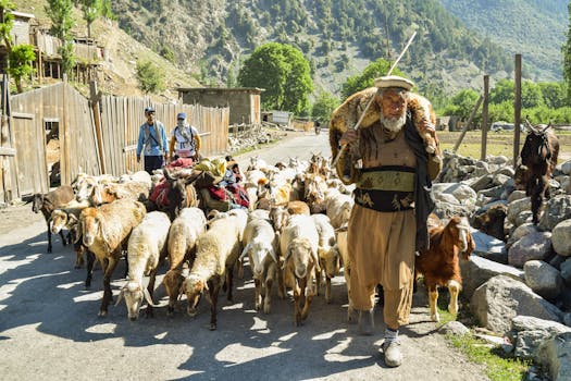 Best Swat Valley tour packages 2026 – North Voyagers luxury vehicle on mountain road