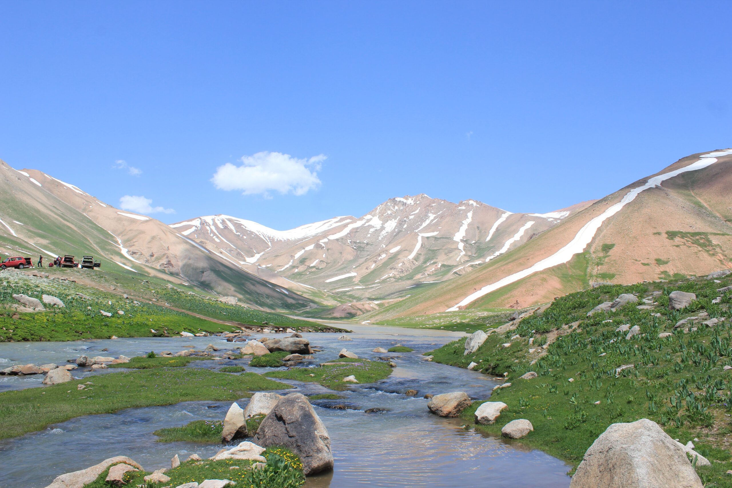 Deosai-region alpine scenery viewed during Skardu tour packages